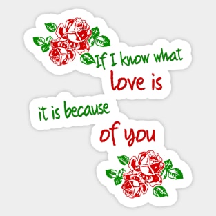 if i know what love is it is because of you Sticker